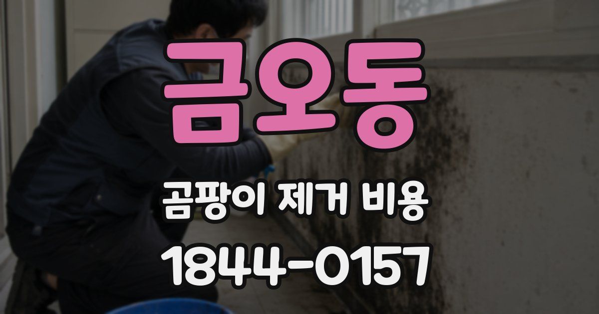금오동 곰팡이 제거 비용
