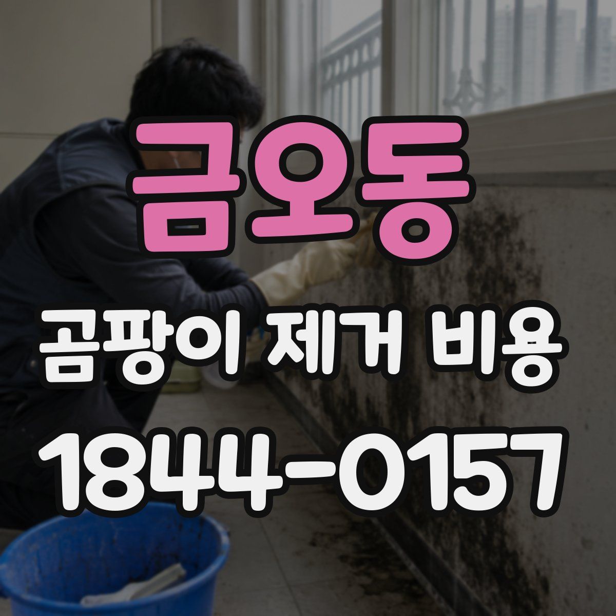금오동 곰팡이 제거 비용