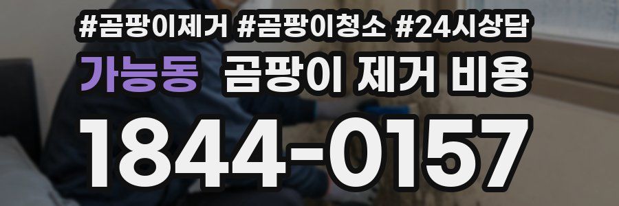 가능동 곰팡이 제거 비용