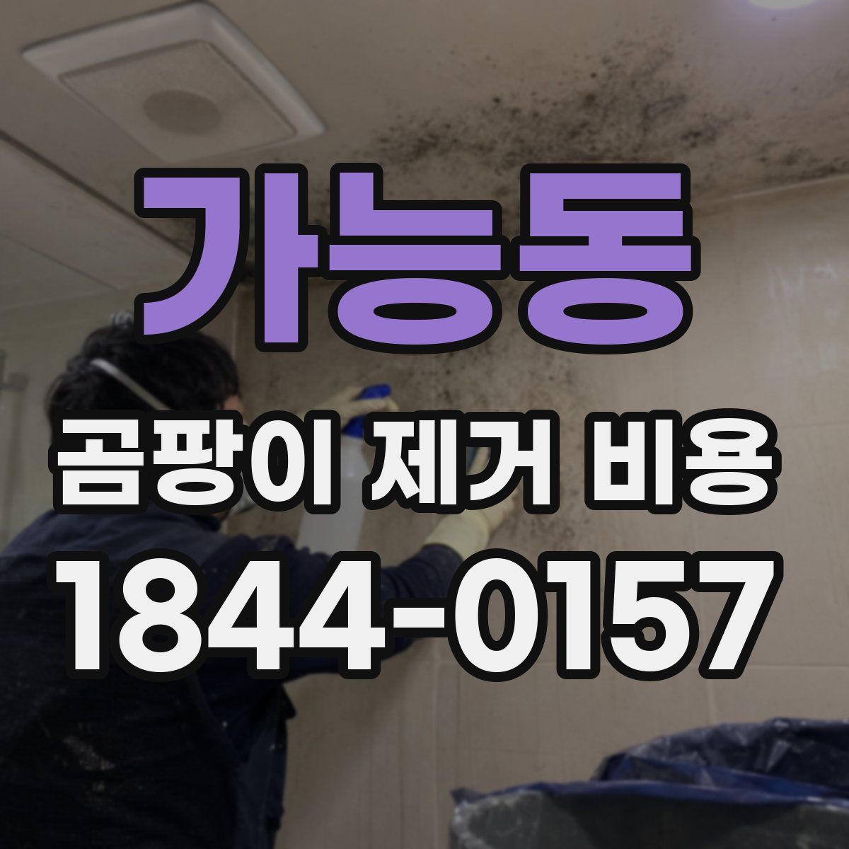 가능동 곰팡이 제거 비용