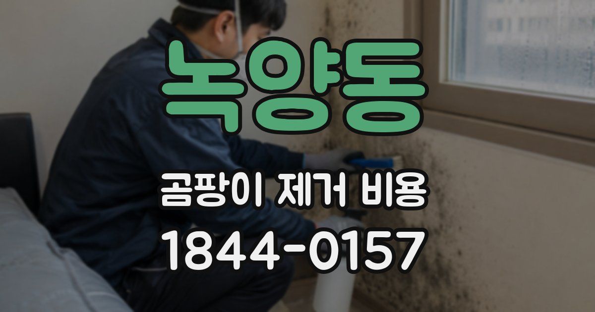 녹양동 곰팡이 제거 비용