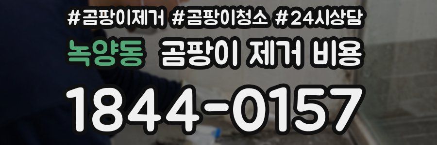 녹양동 곰팡이 제거 비용