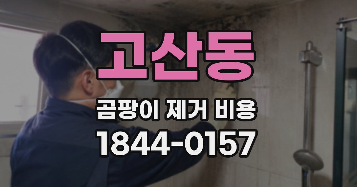고산동 곰팡이 제거 비용
