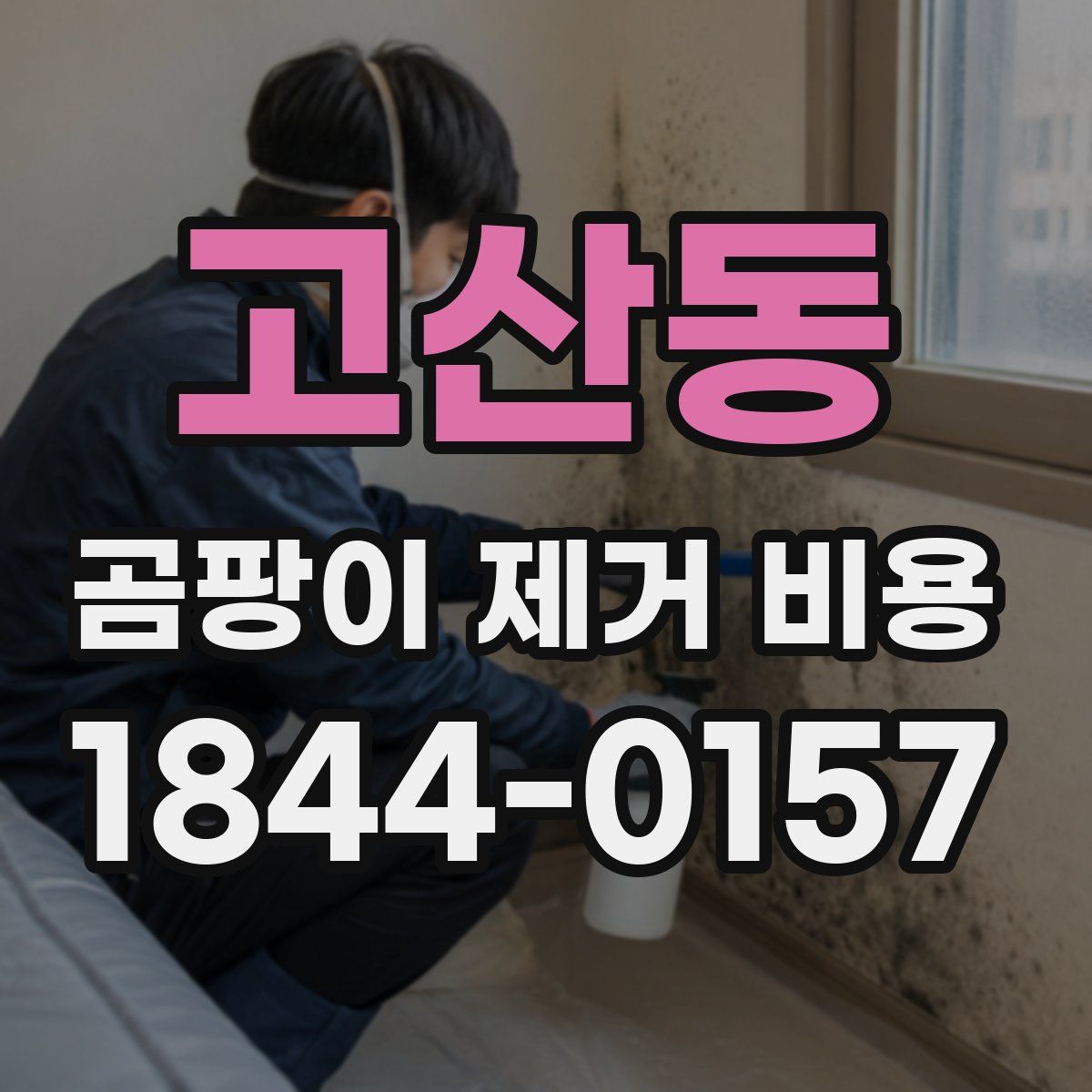 고산동 곰팡이 제거 비용