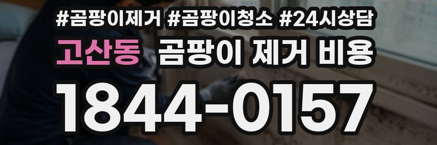 고산동 곰팡이 제거 비용