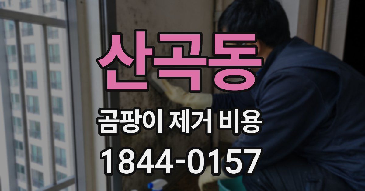 산곡동 곰팡이 제거 비용