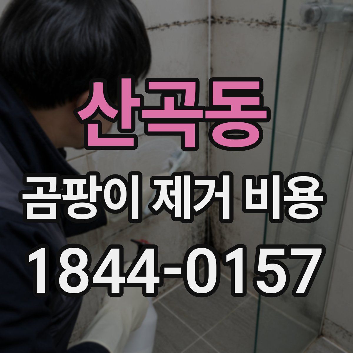 산곡동 곰팡이 제거 비용
