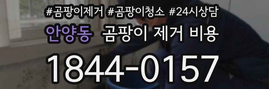 안양동 곰팡이 제거 비용