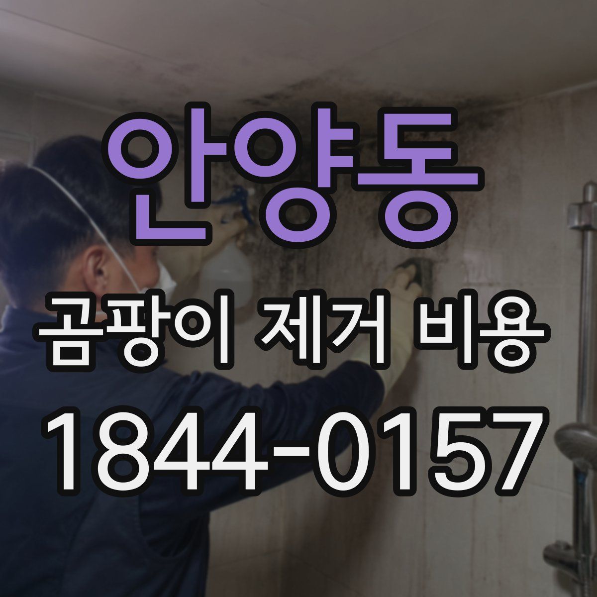 안양동 곰팡이 제거 비용