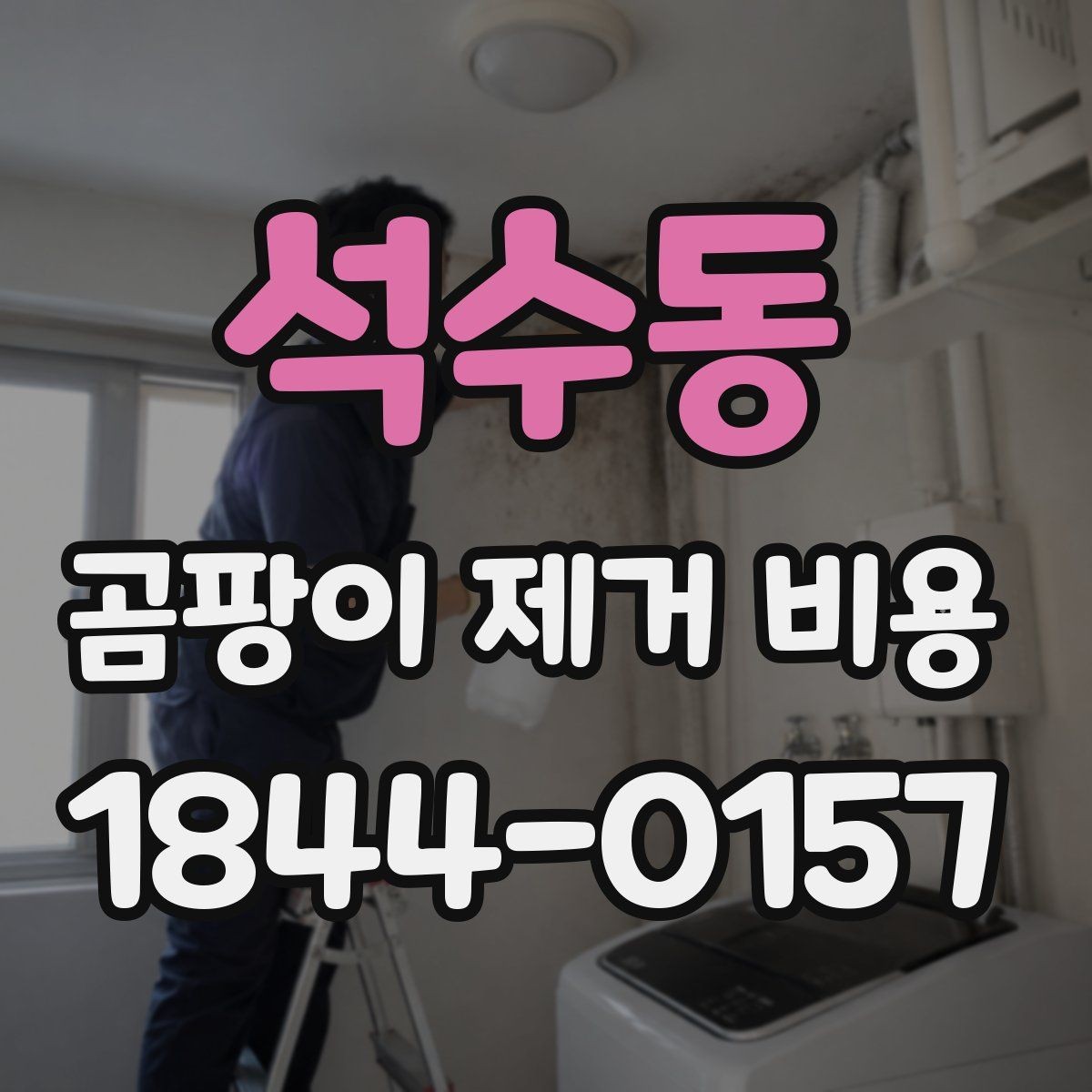 석수동 곰팡이 제거 비용 누수 흔적이 있으면 추가되는 작업