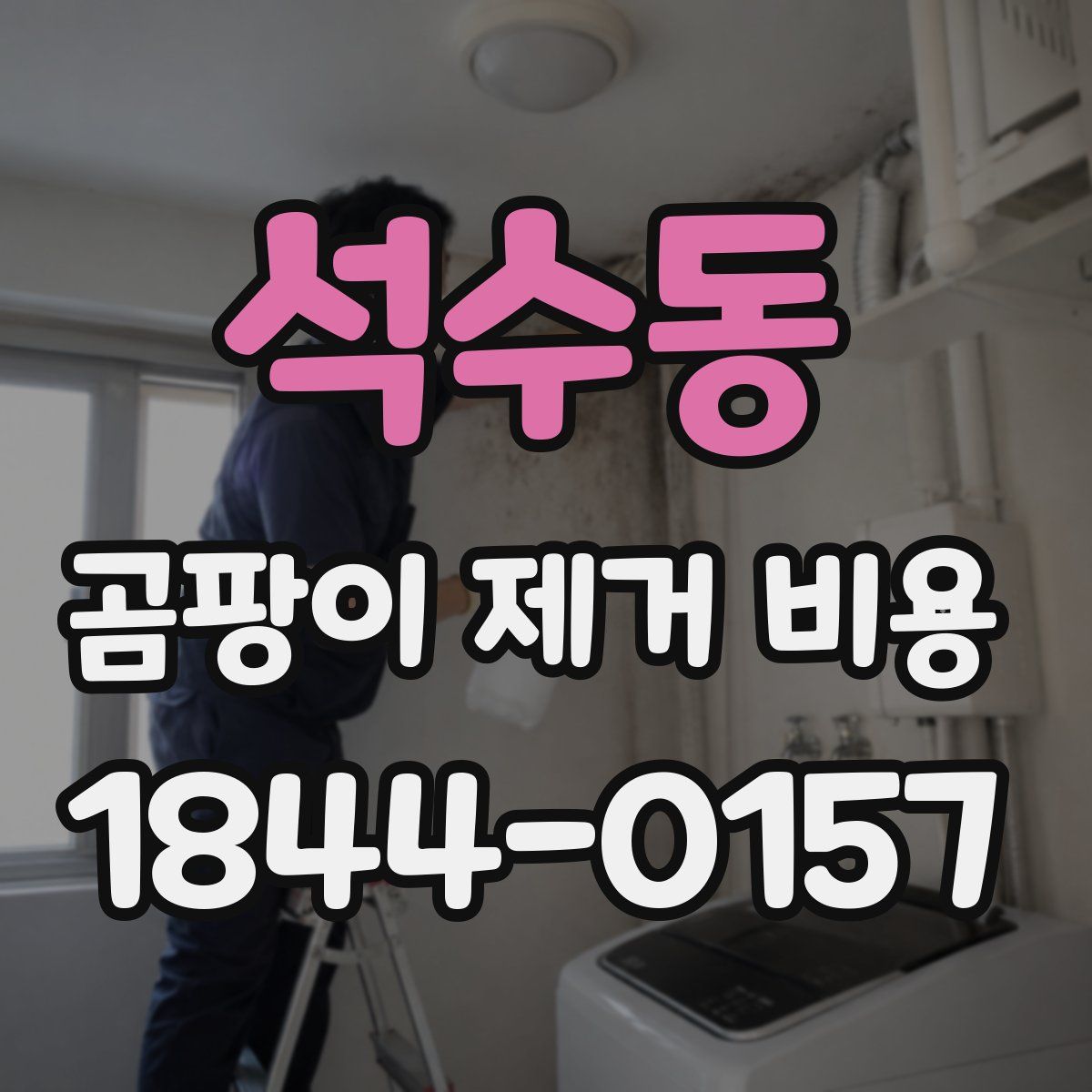 석수동 곰팡이 제거 비용