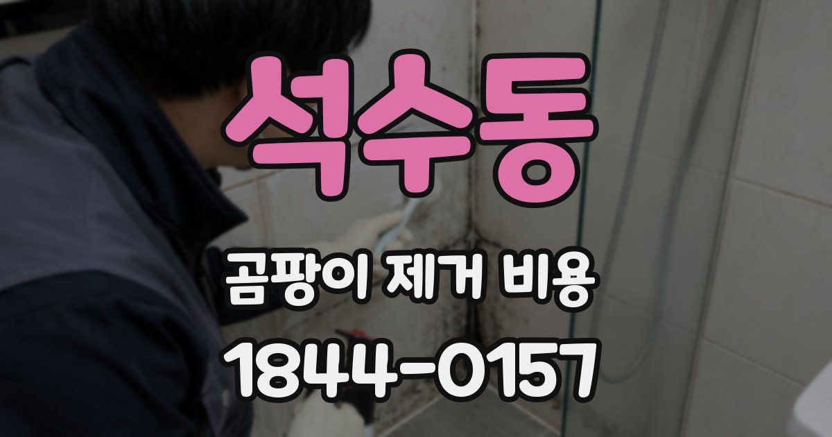 석수동 곰팡이 제거 비용