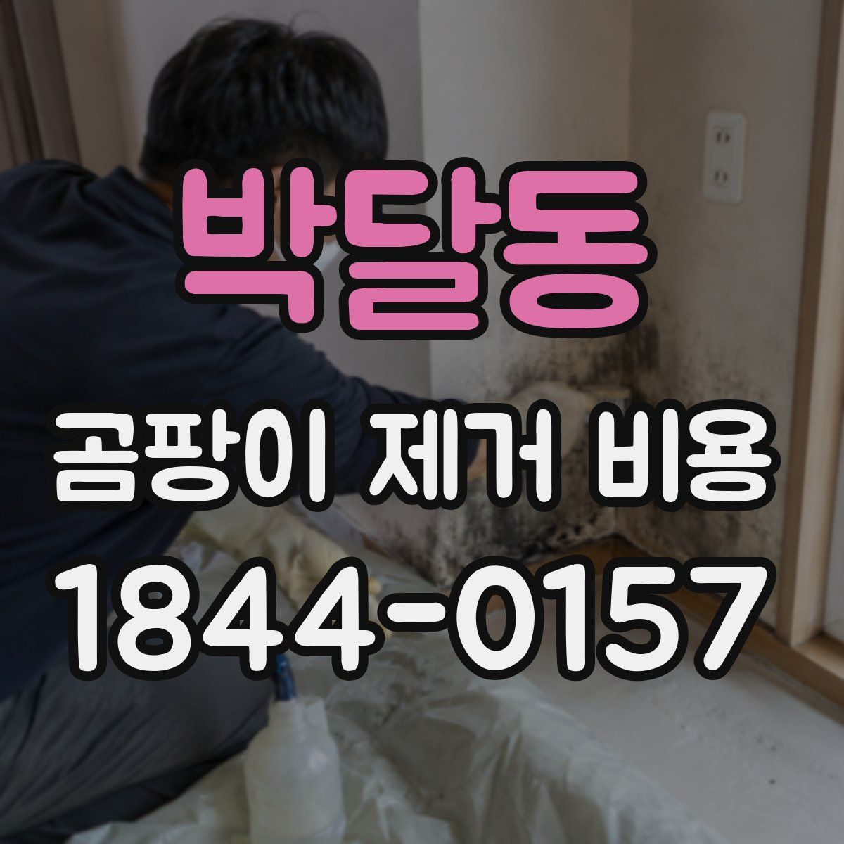 박달동 곰팡이 제거 비용