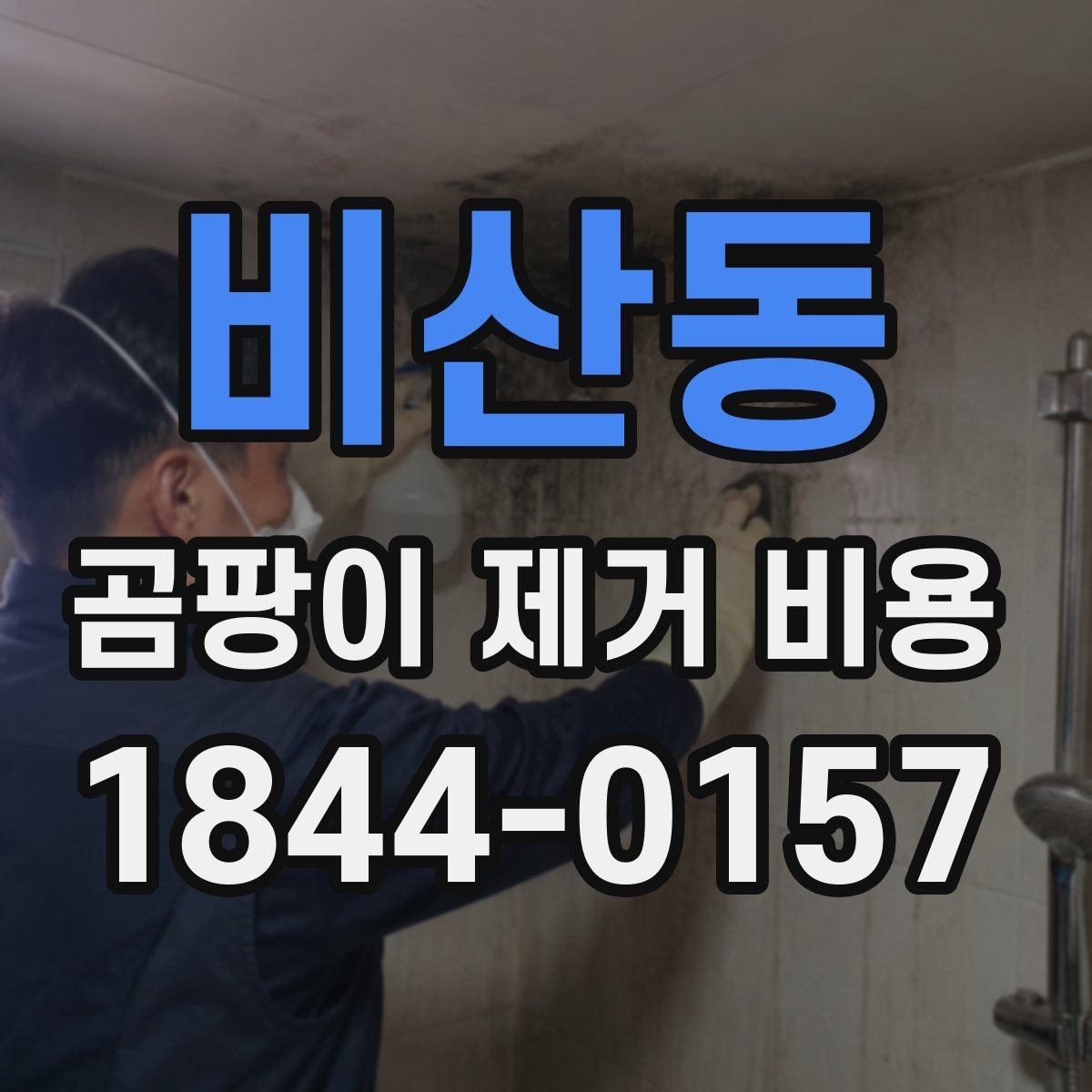 비산동 곰팡이 제거 비용 냄새 제거까지 맡기면 달라지는 항목