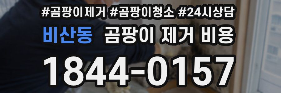 비산동 곰팡이 제거 비용