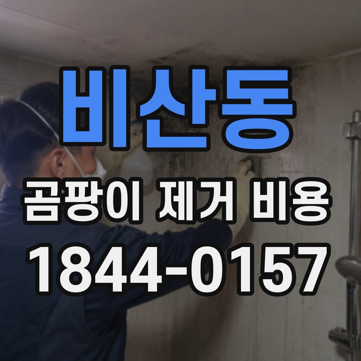 비산동 곰팡이 제거 비용
