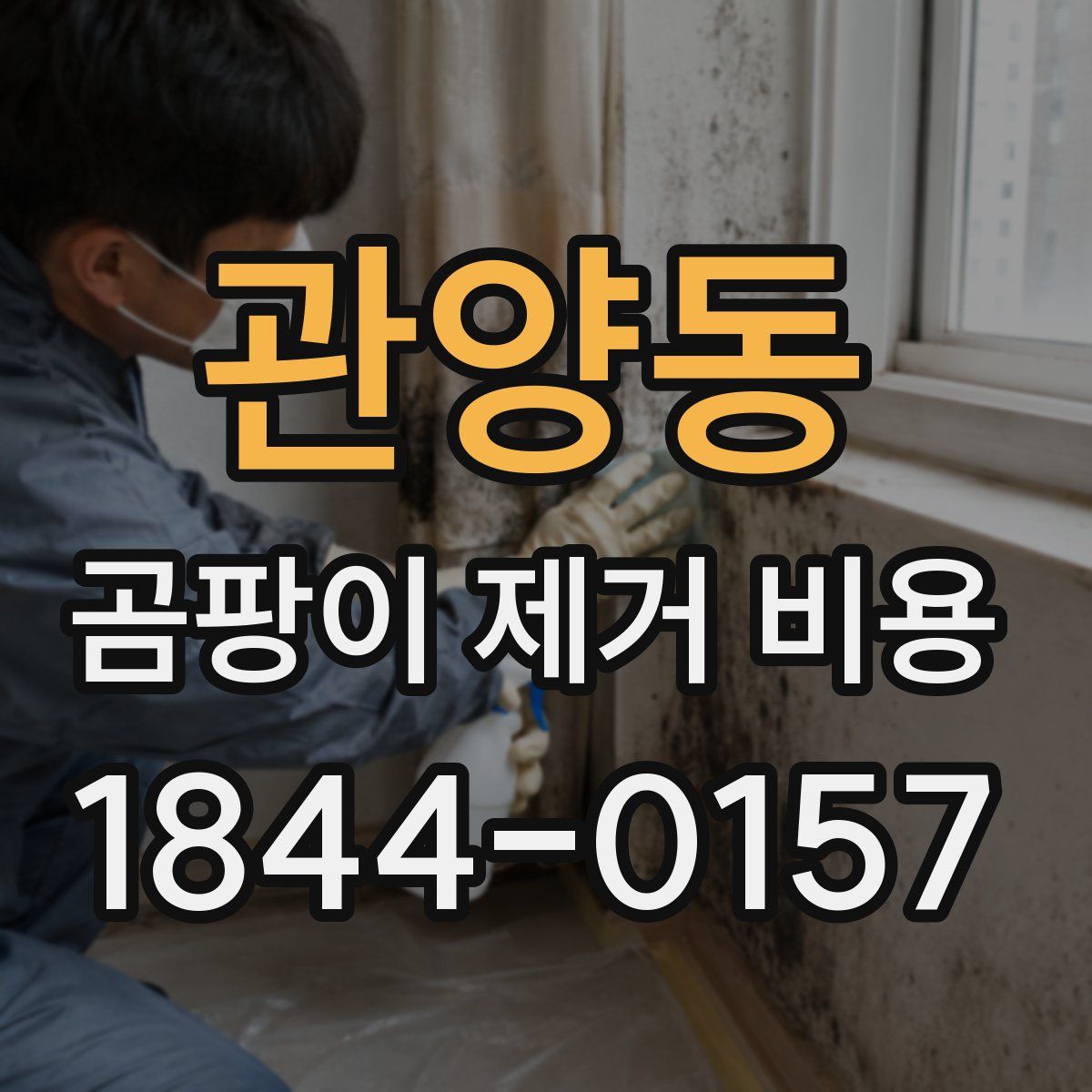 관양동 곰팡이 제거 비용