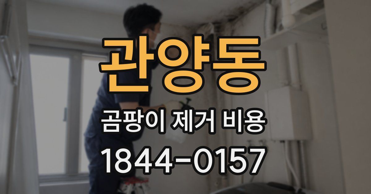 관양동 곰팡이 제거 비용