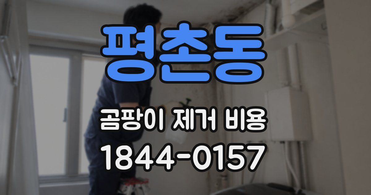 평촌동 곰팡이 제거 비용