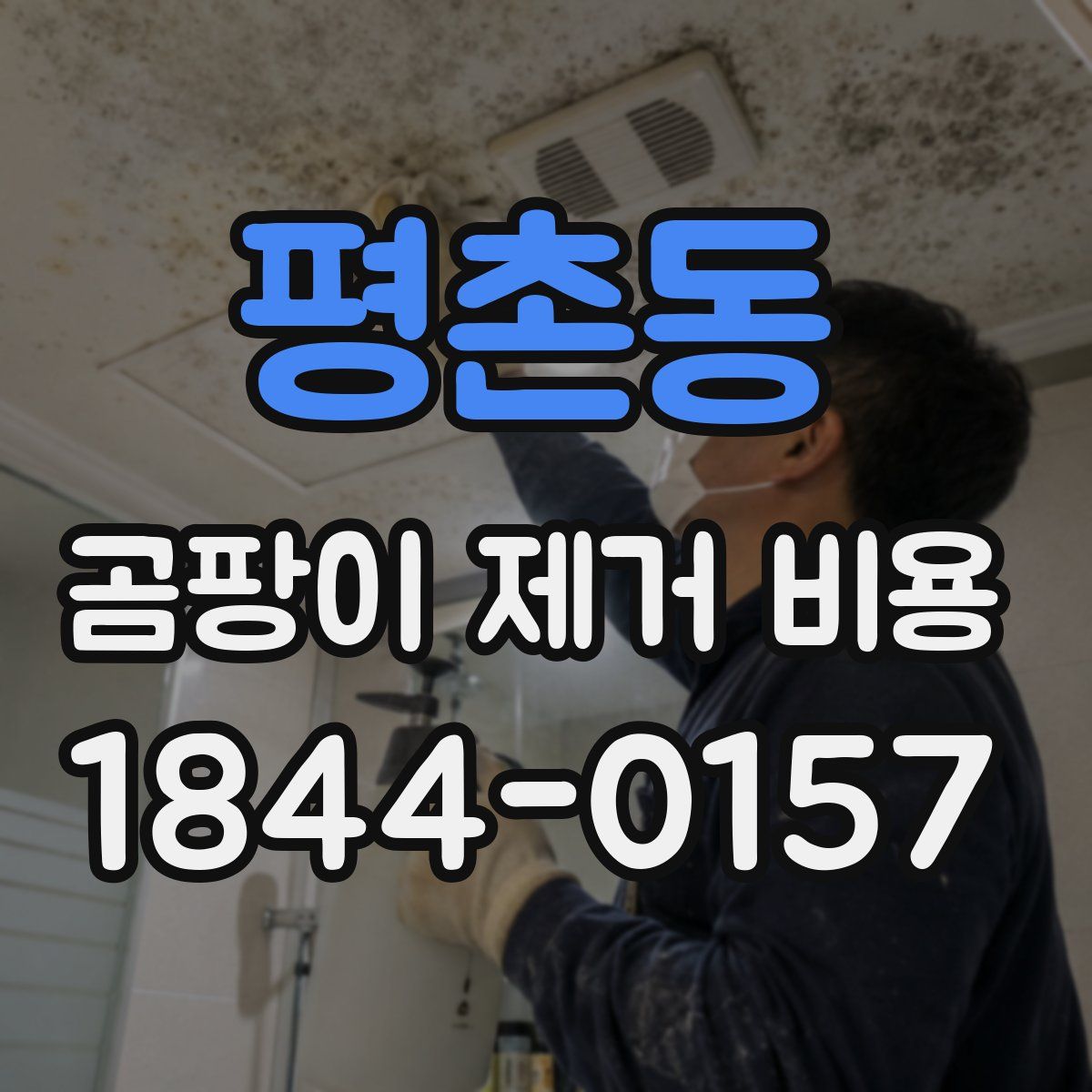 평촌동 곰팡이 제거 비용
