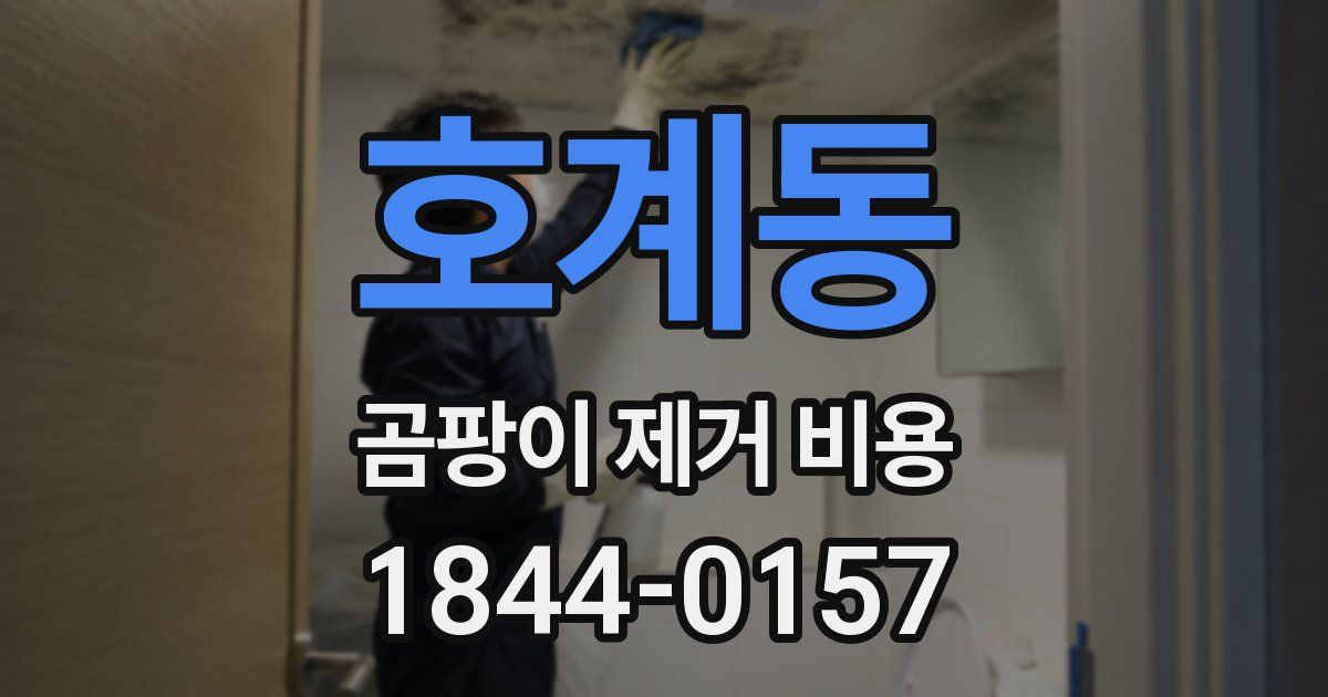 호계동 곰팡이 제거 비용