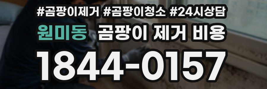 원미동 곰팡이 제거 비용