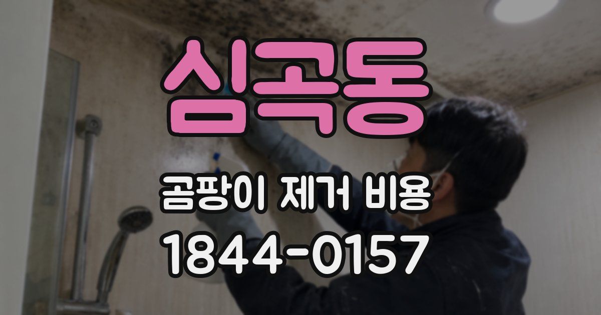 심곡동 곰팡이 제거 비용
