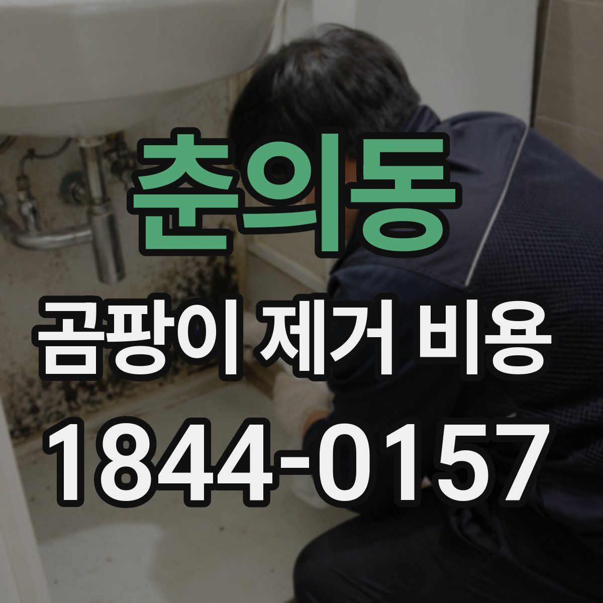 춘의동 곰팡이 제거 비용