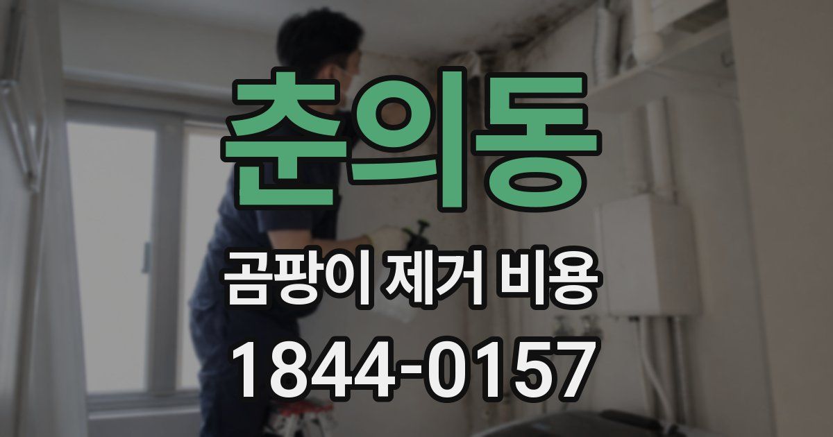 춘의동 곰팡이 제거 비용