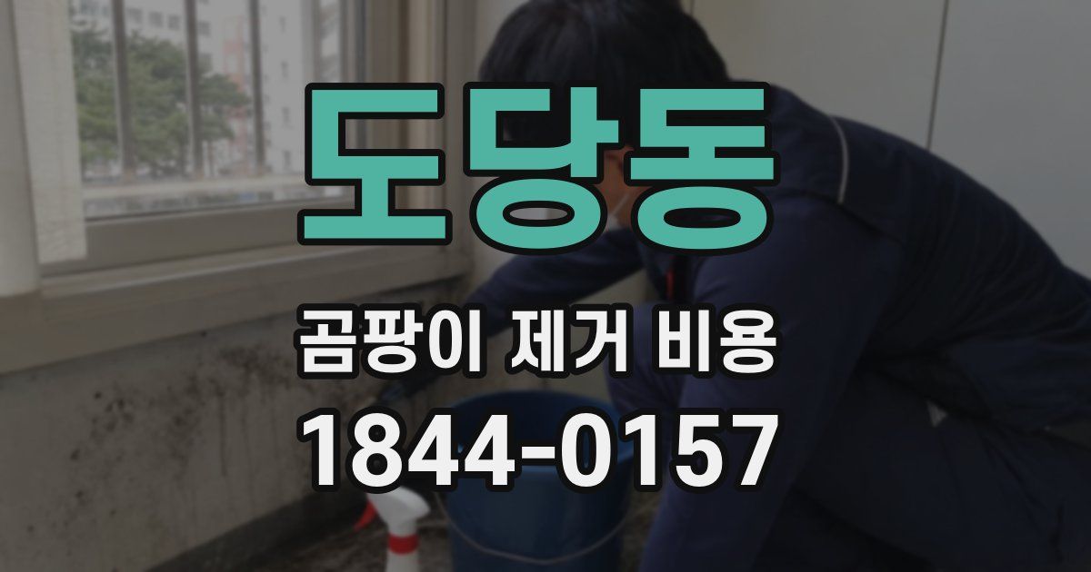 도당동 곰팡이 제거 비용