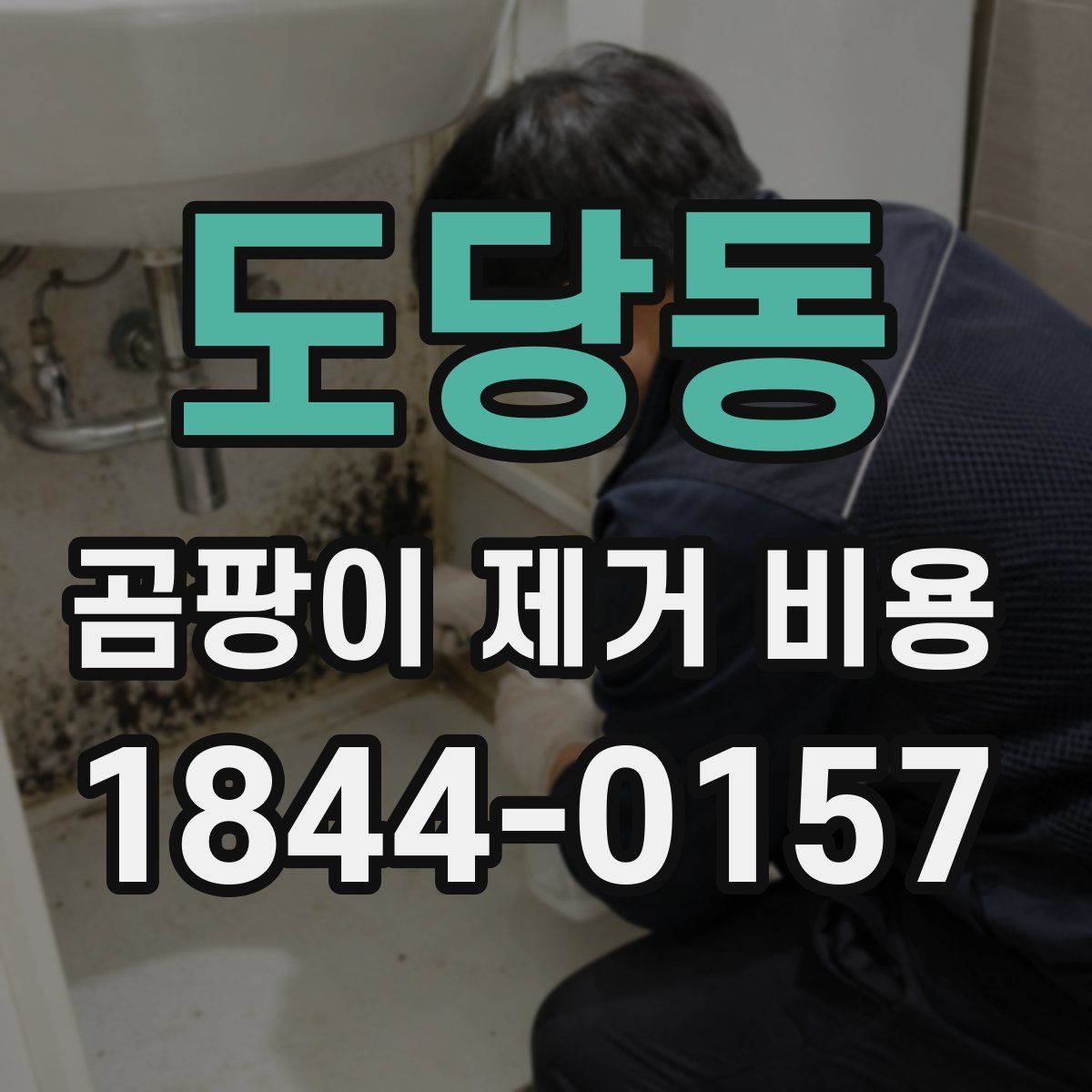 도당동 곰팡이 제거 비용