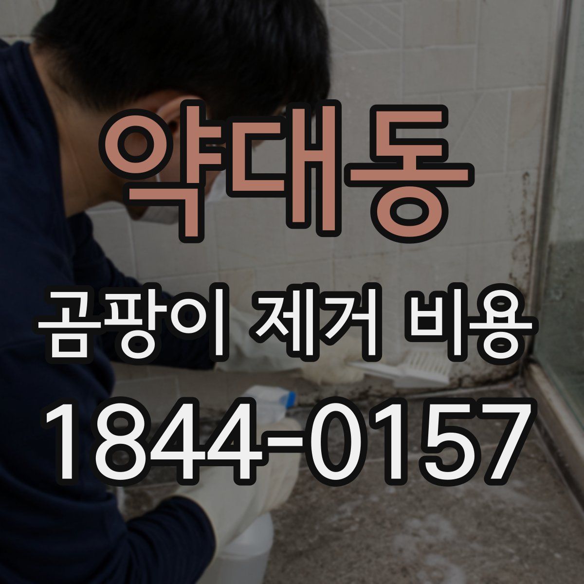 약대동 곰팡이 제거 비용