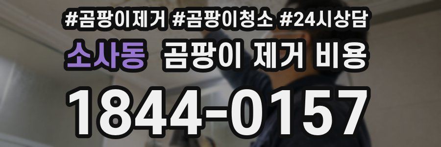 소사동 곰팡이 제거 비용