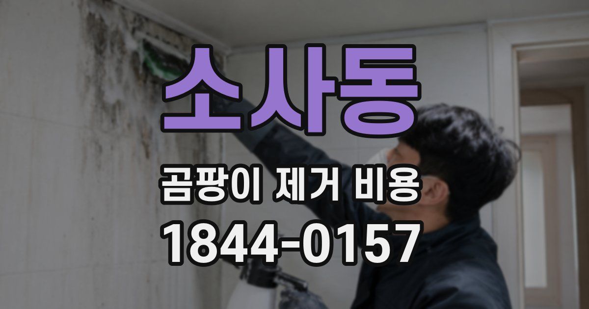 소사동 곰팡이 제거 비용