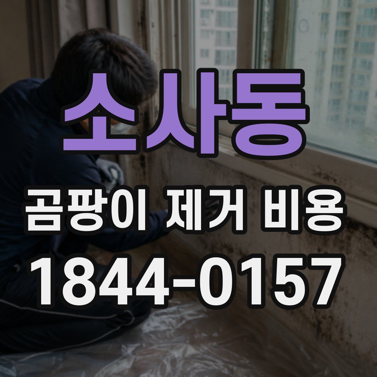 소사동 곰팡이 제거 비용