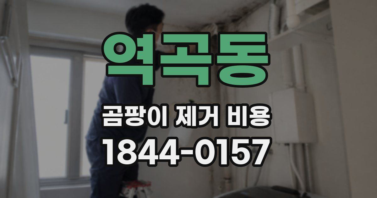 역곡동 곰팡이 제거 비용