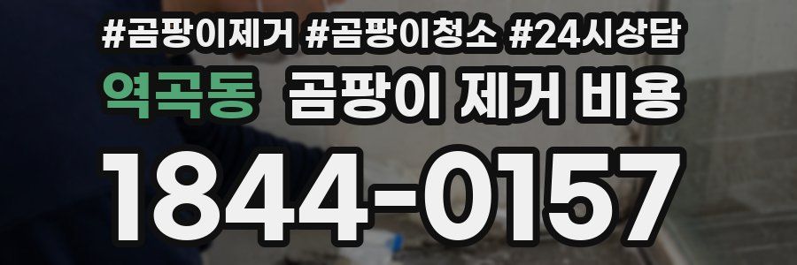 역곡동 곰팡이 제거 비용