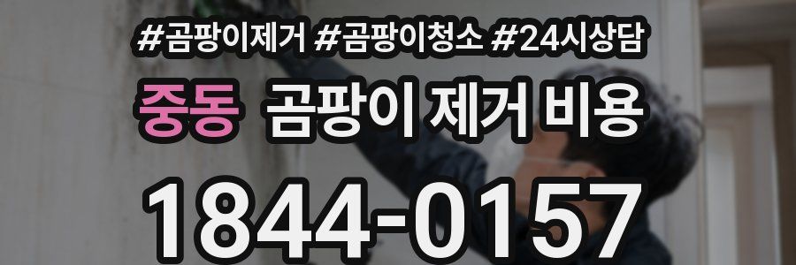 중동 곰팡이 제거 비용