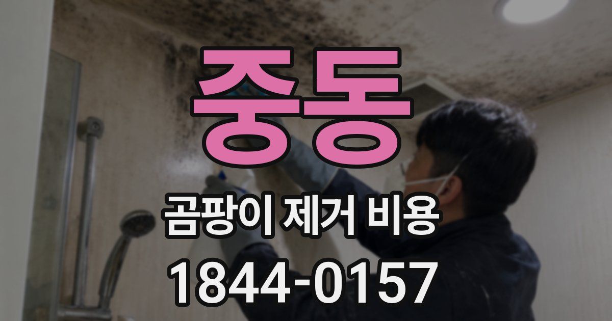 중동 곰팡이 제거 비용