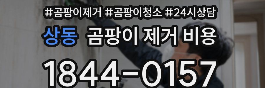 상동 곰팡이 제거 비용
