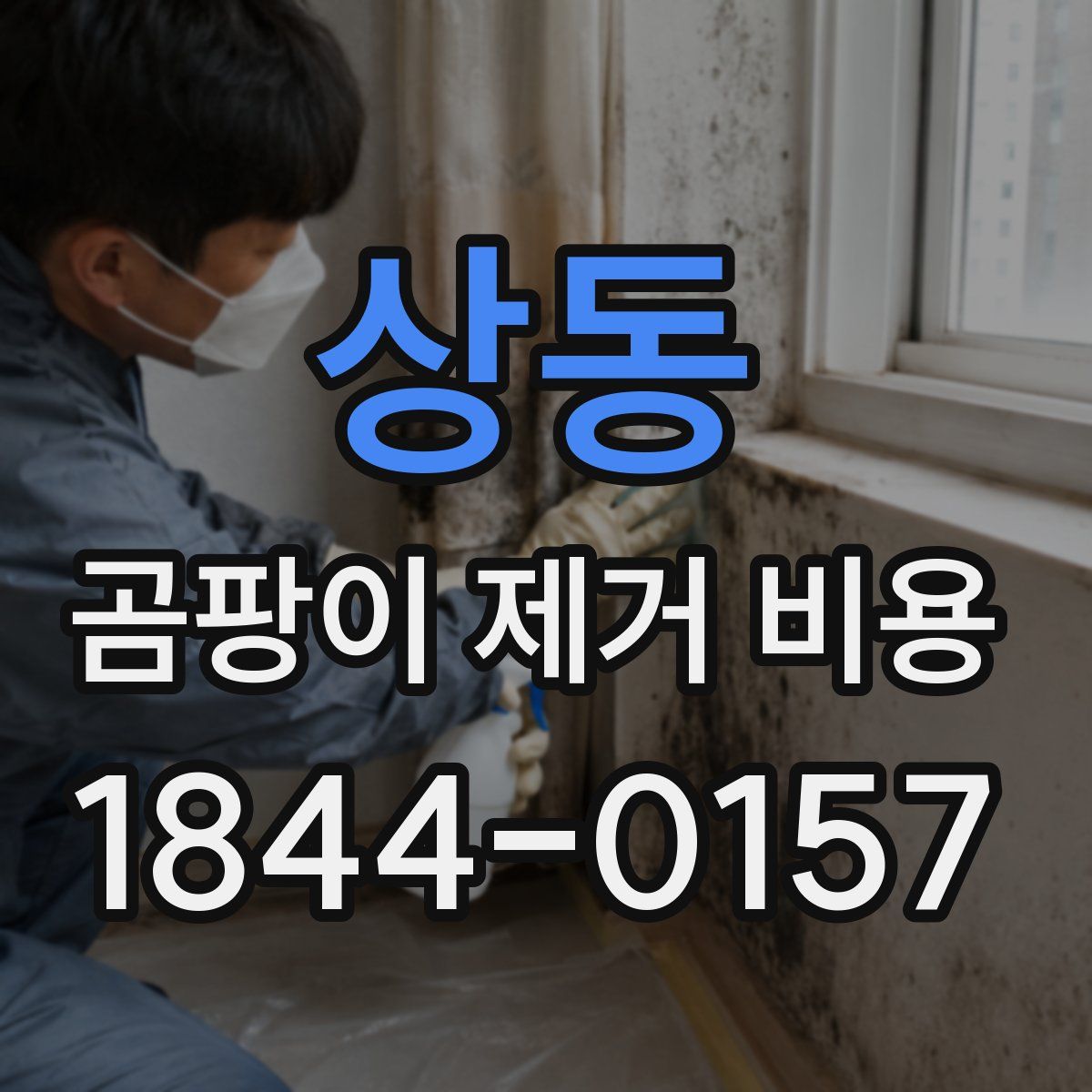 상동 곰팡이 제거 비용