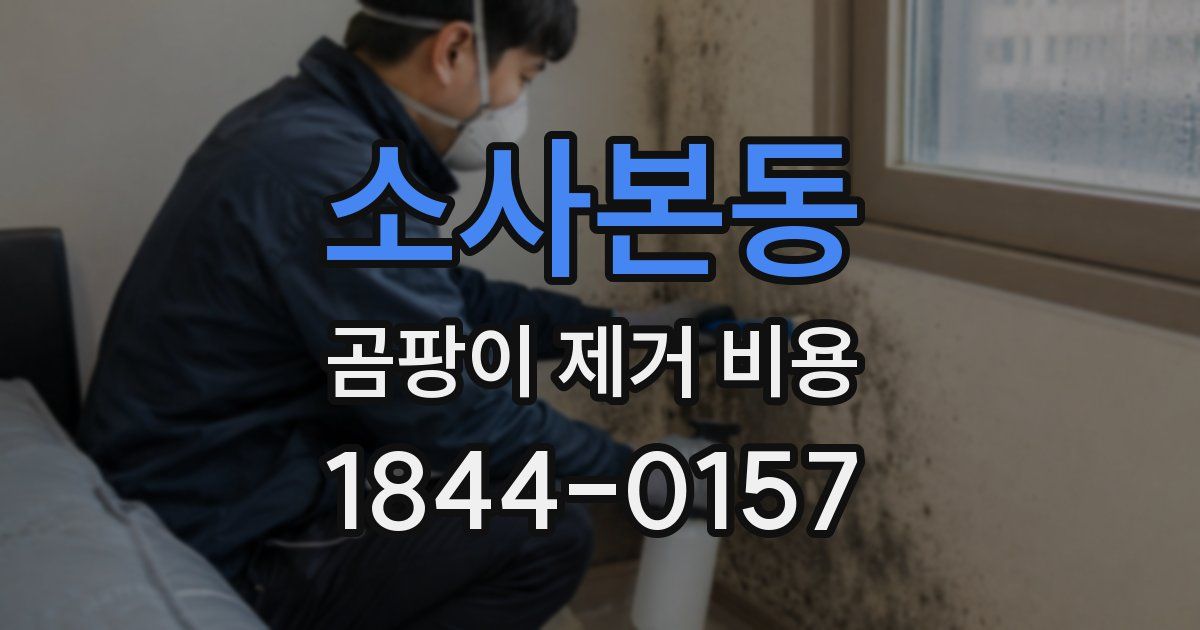 소사본동 곰팡이 제거 비용
