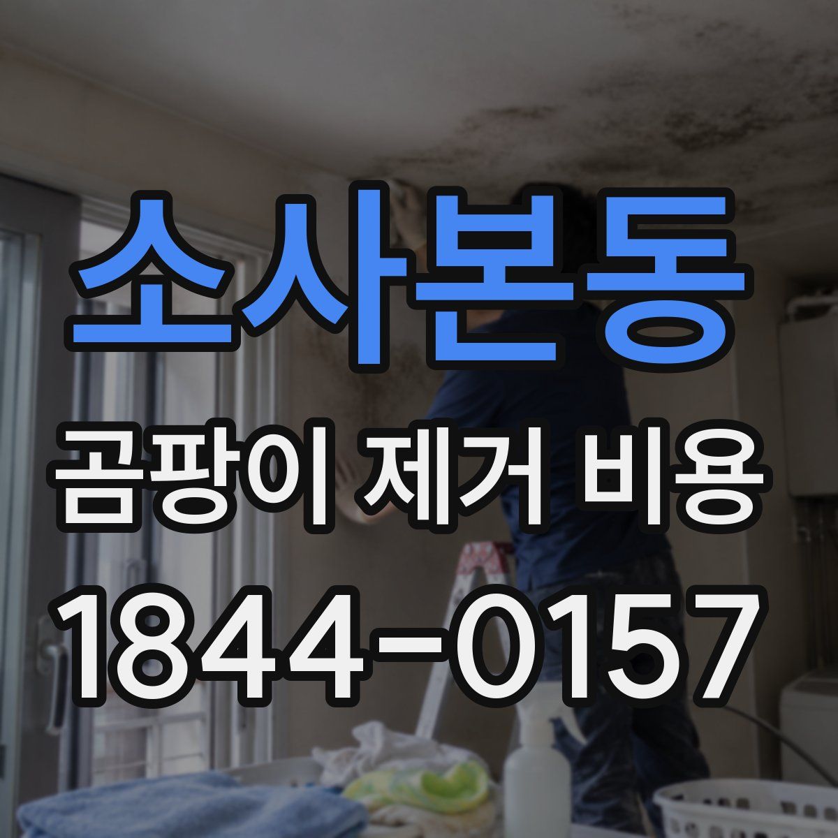 소사본동 곰팡이 제거 비용