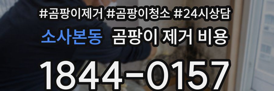 소사본동 곰팡이 제거 비용