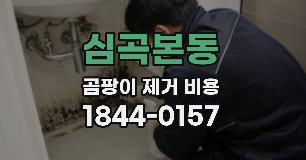 심곡본동 곰팡이 제거 비용