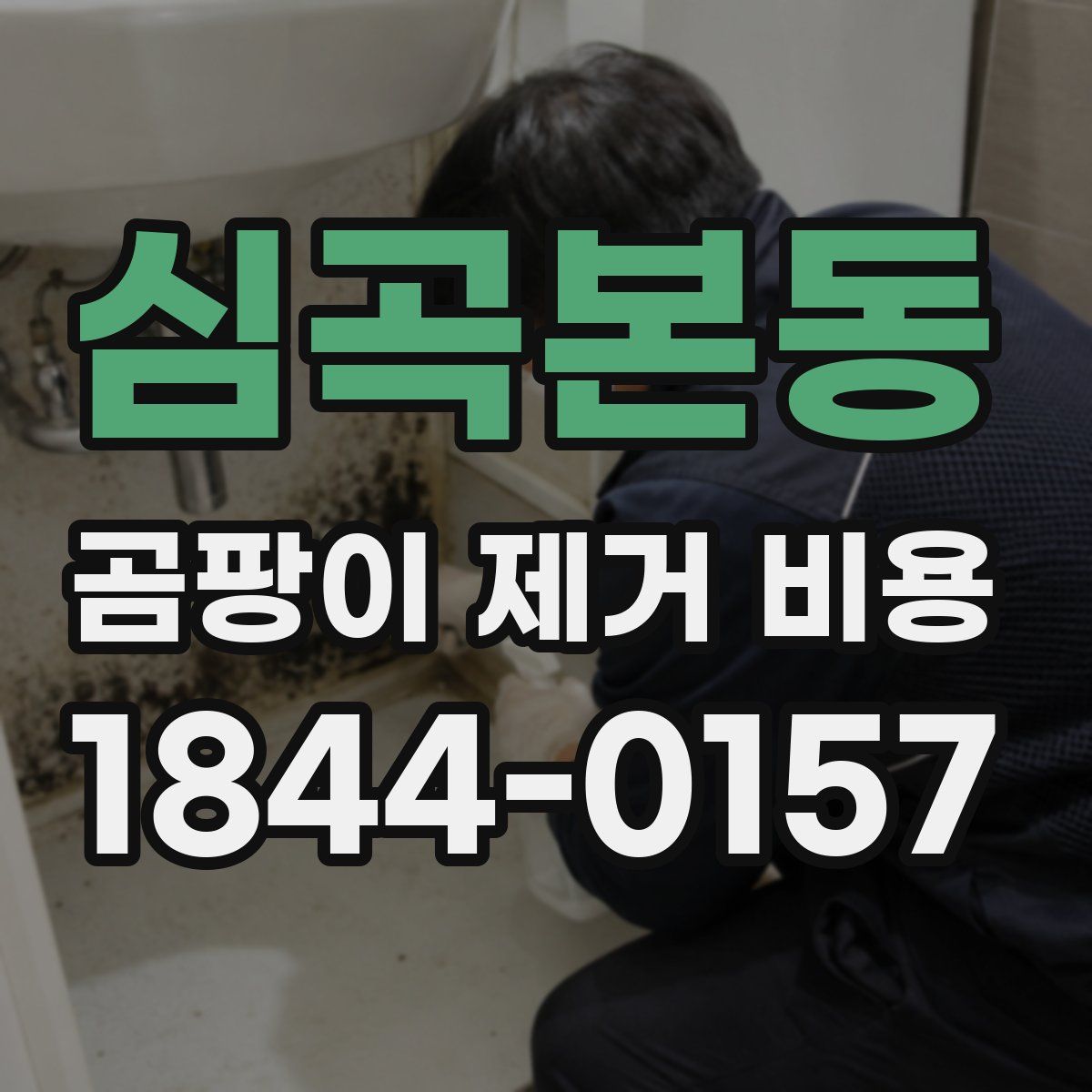 심곡본동 곰팡이 제거 비용