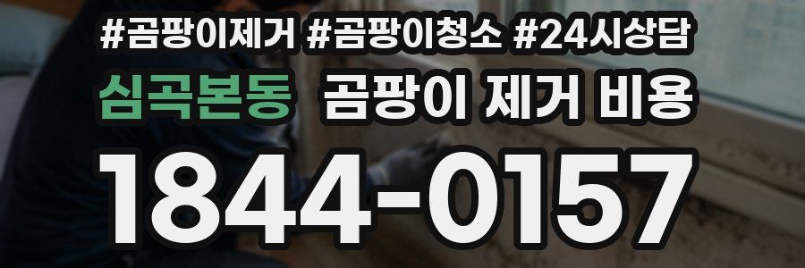 심곡본동 곰팡이 제거 비용