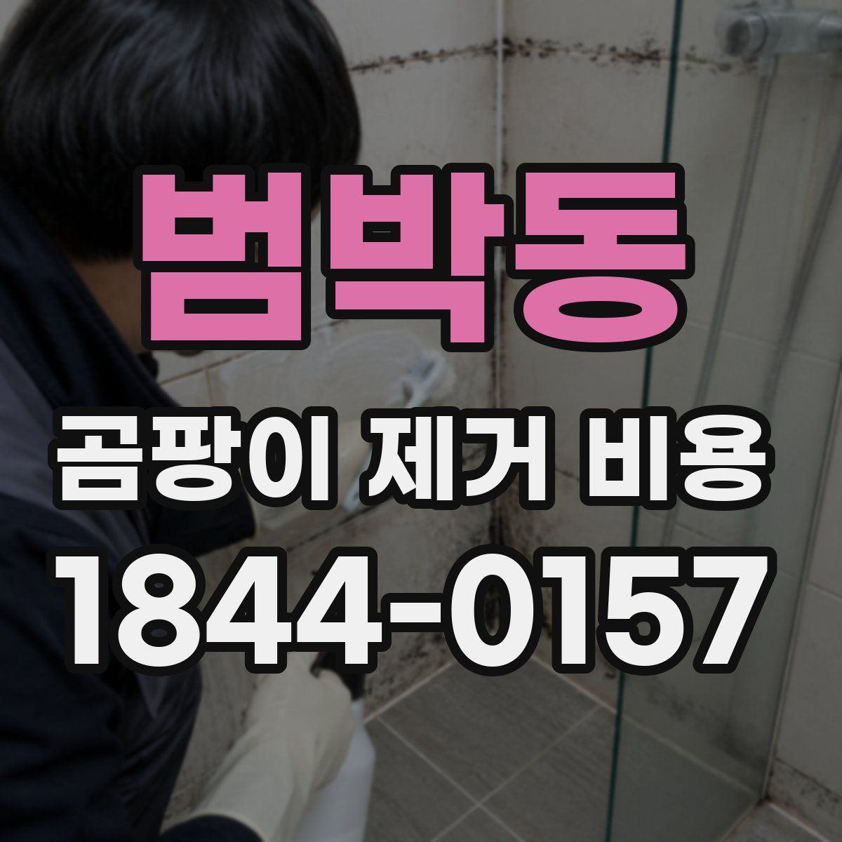 범박동 곰팡이 제거 비용