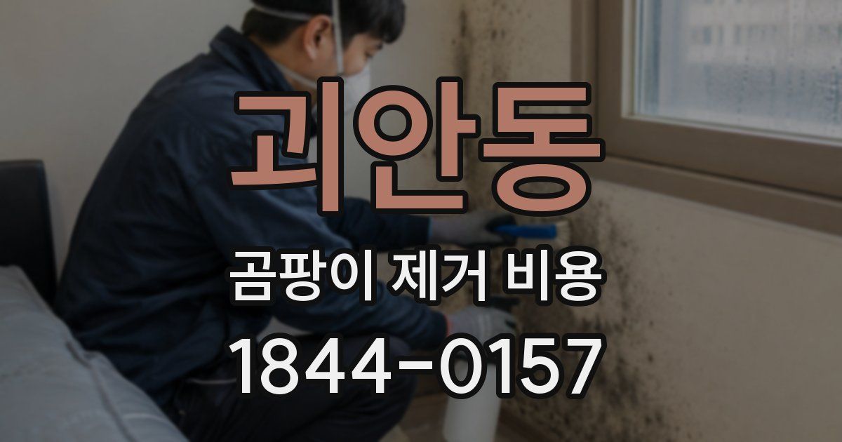 괴안동 곰팡이 제거 비용