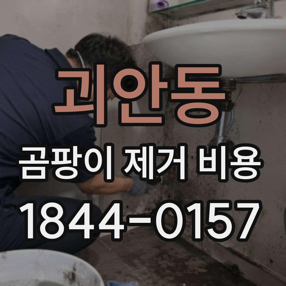 괴안동 곰팡이 제거 비용